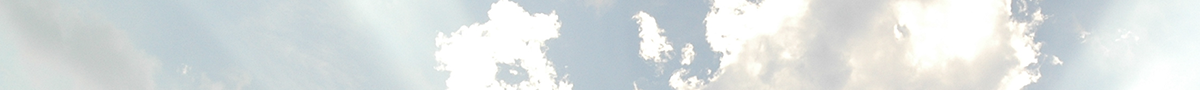 header-theme-03.png