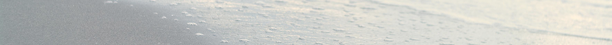 header-theme-04.png