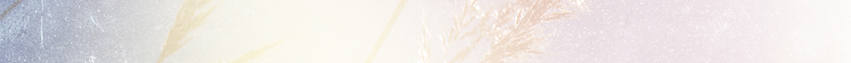 header-theme-07.png